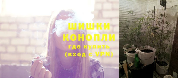 сатива Киренск