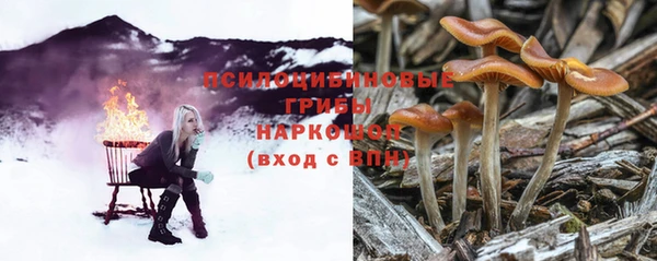 мескалин Кинешма