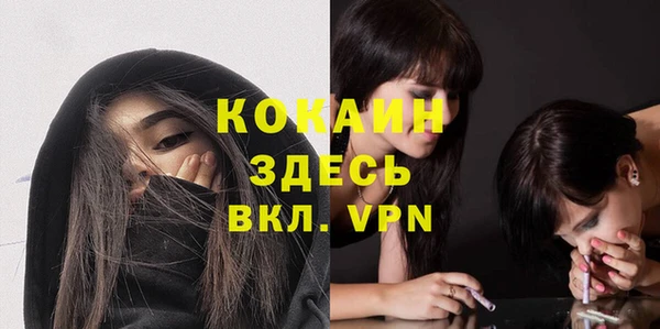сатива Киренск