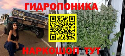 гидропоника Азнакаево