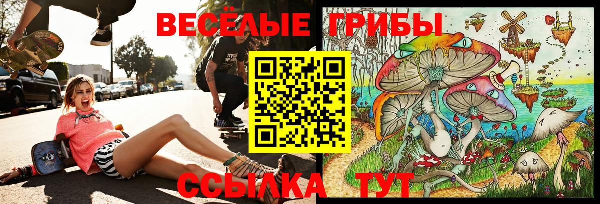Галлюциногенные грибы ЛСД  Вход с VPN  Кудрово 
