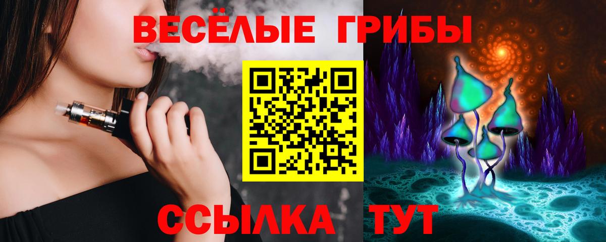 Псилоцибиновые грибы мицелий Кудрово