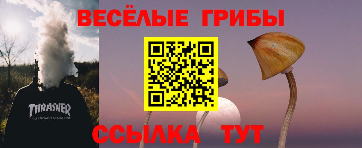 Галлюциногенные грибы ЛСД Кудрово