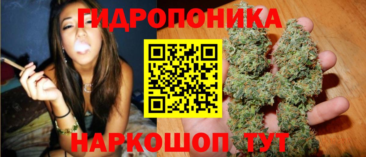 МАРИХУАНА конопля  Вход с VPN  Кудрово  Конопля AK-47  Конопля MAZAR  Канабис THC 21% 